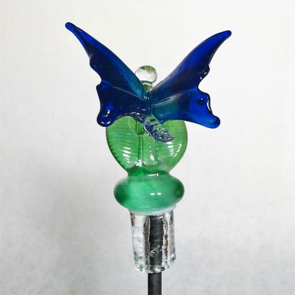 Schmetterling in blau